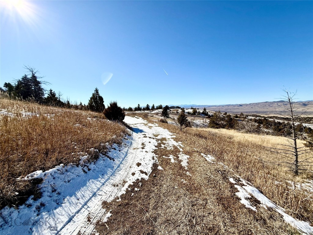 Ponderosa Pines - Residential