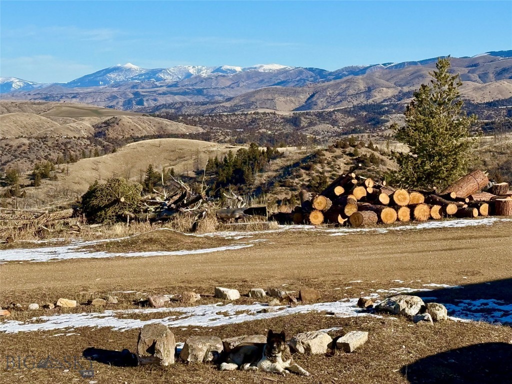 Ponderosa Pines - Residential