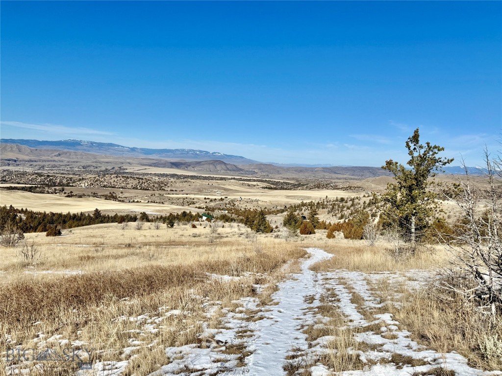 Ponderosa Pines - Residential