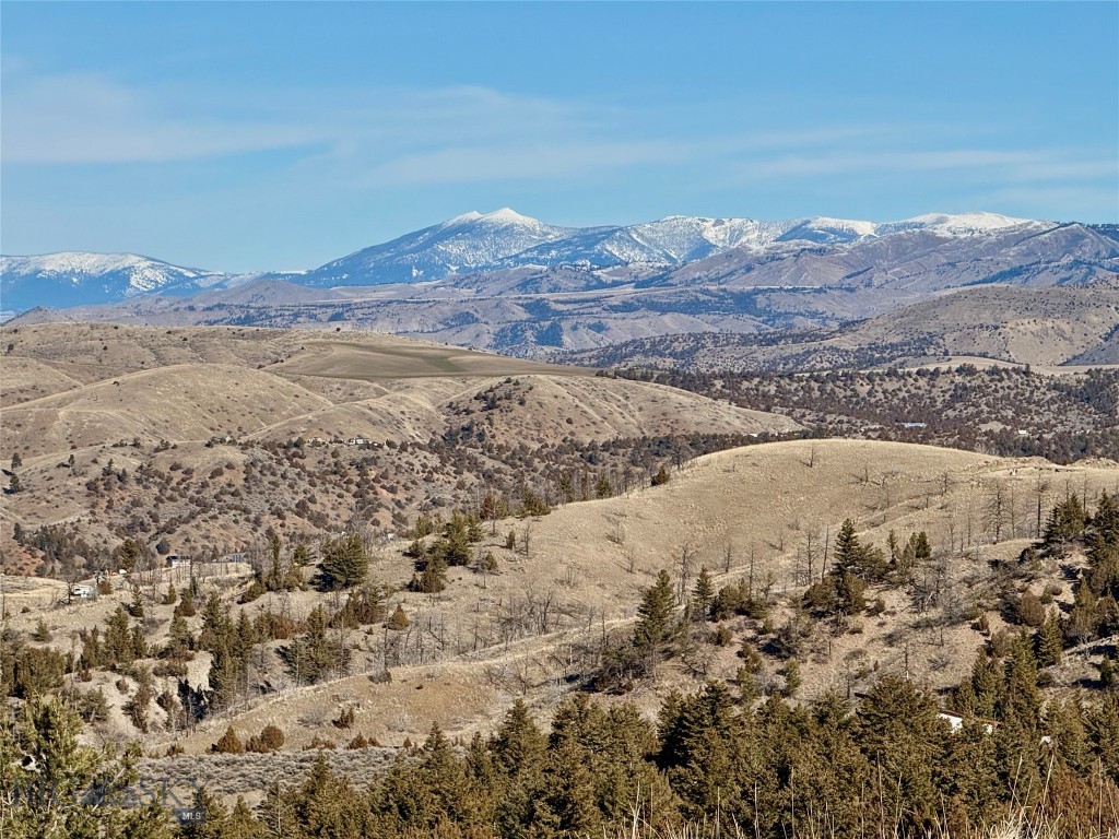 Ponderosa Pines - Residential