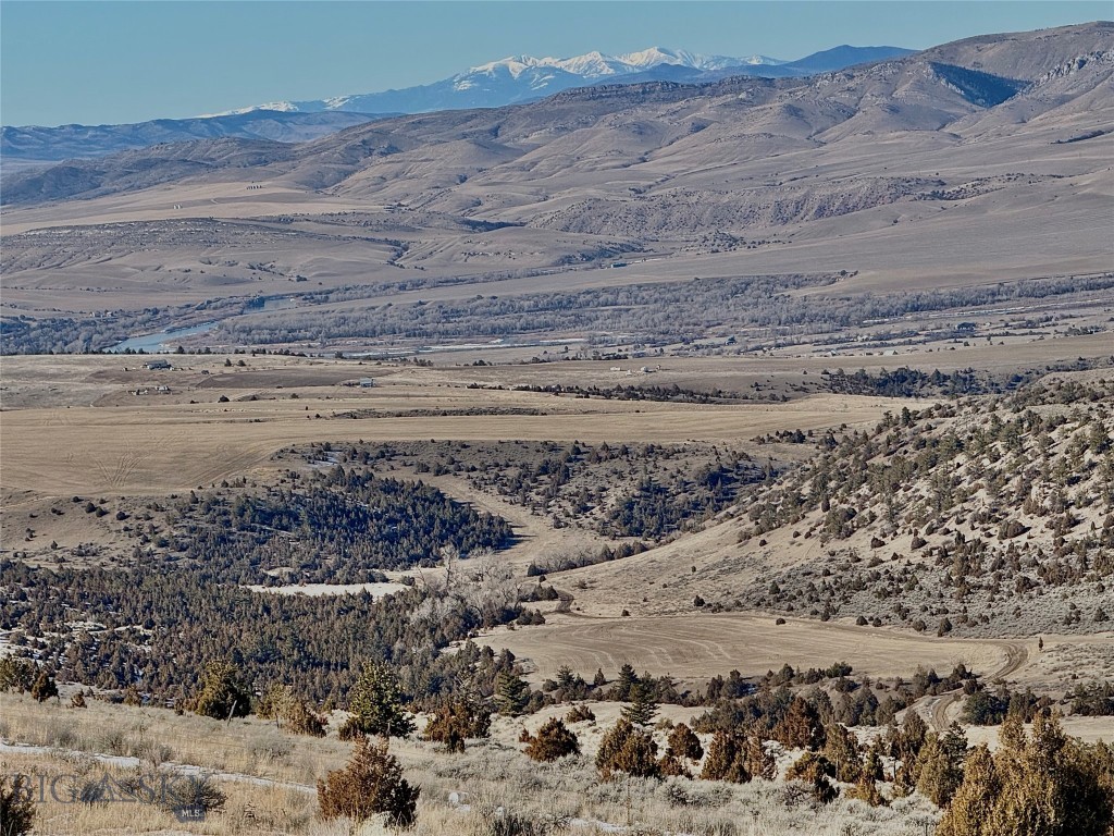 Ponderosa Pines - Residential