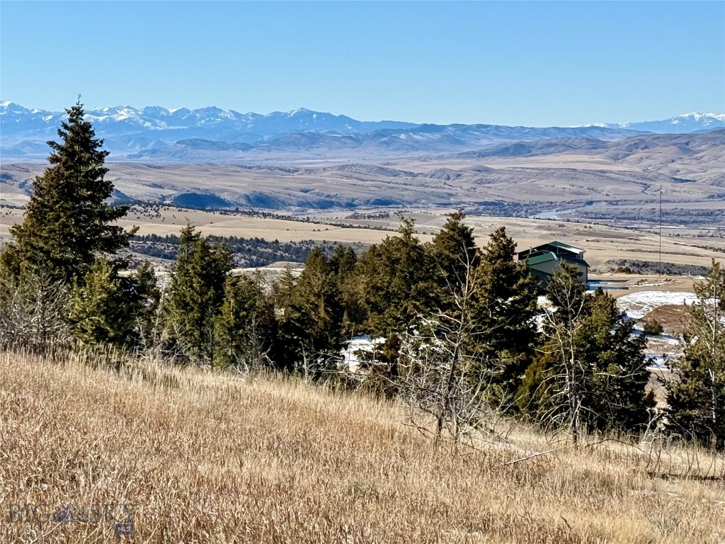 Ponderosa Pines - Residential