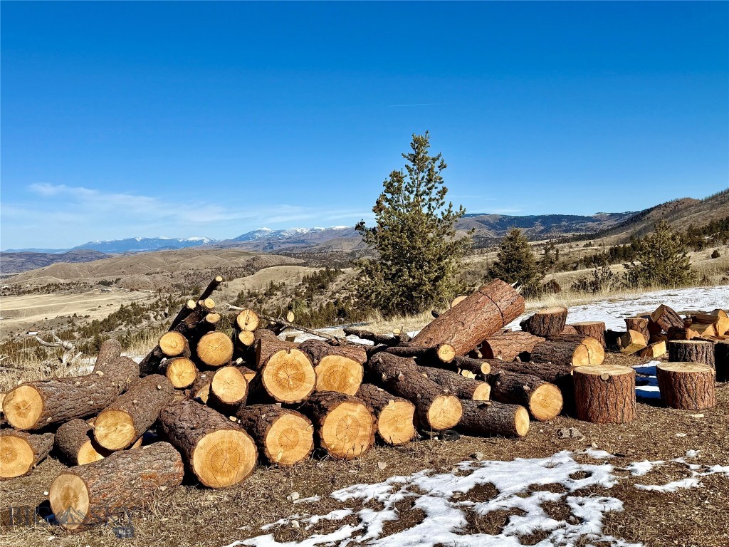 Ponderosa Pines - Residential