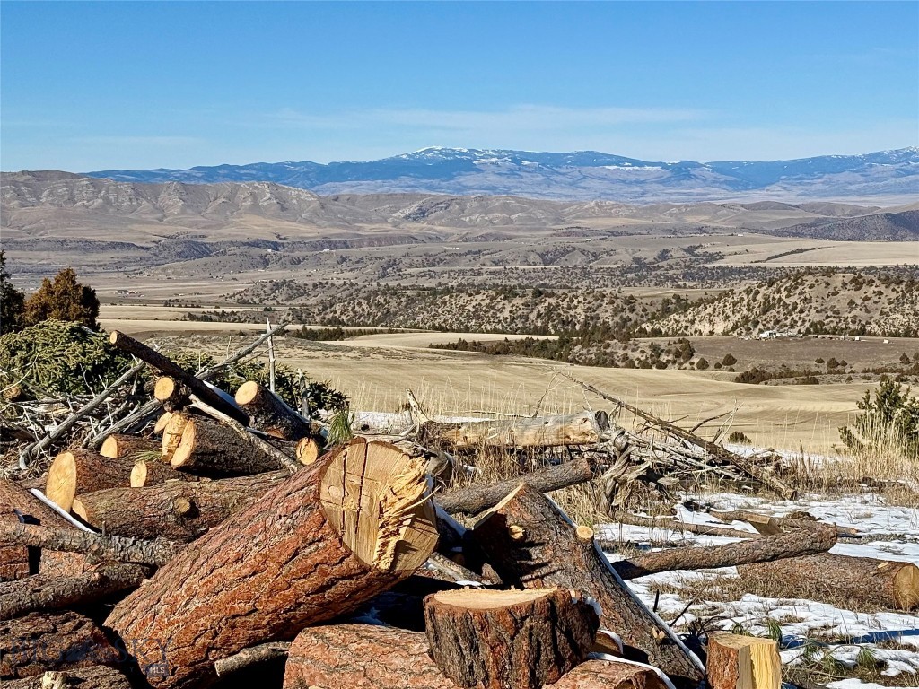 Ponderosa Pines - Residential