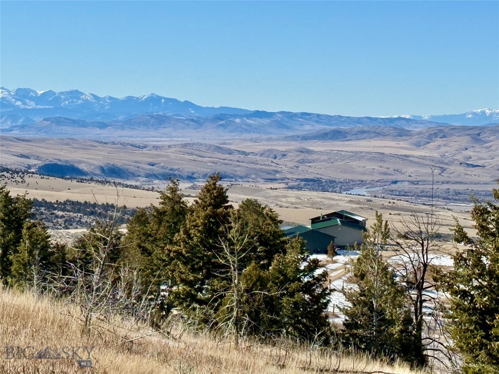 Ponderosa Pines - Residential