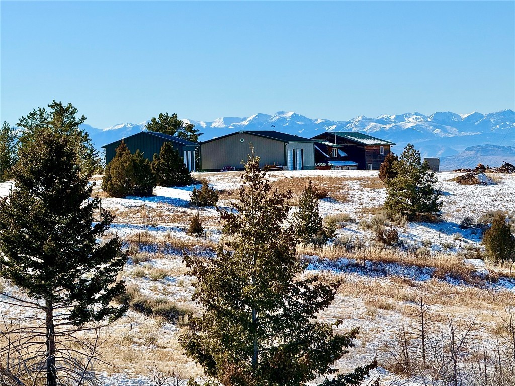 Ponderosa Pines - Residential