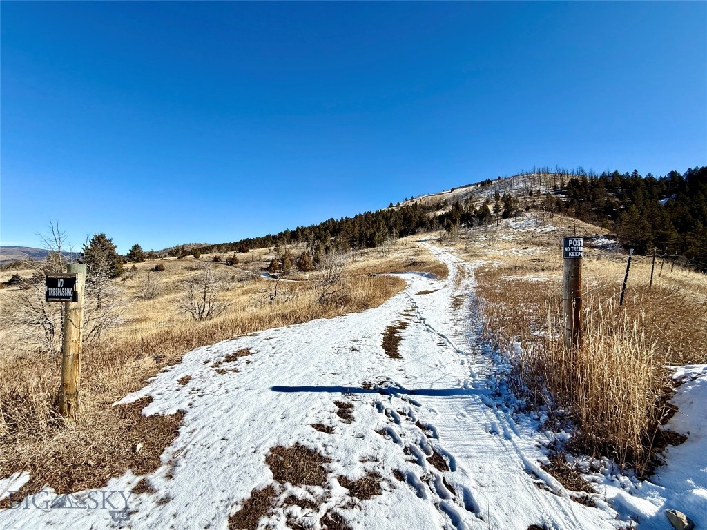 Ponderosa Pines - Residential