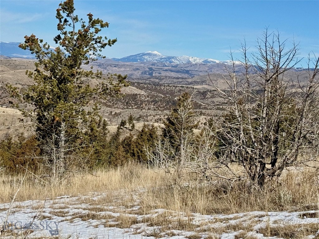 Ponderosa Pines - Residential