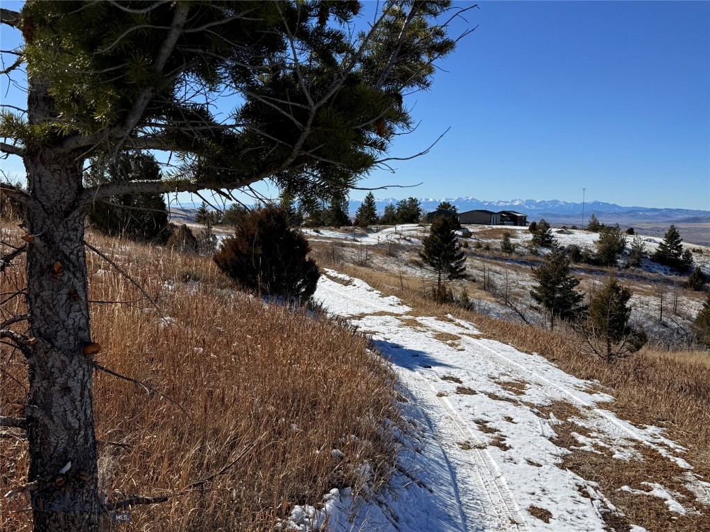 Ponderosa Pines - Residential