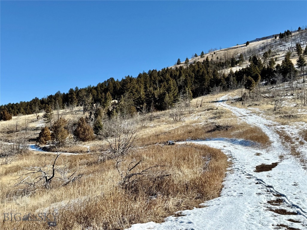 Ponderosa Pines - Residential