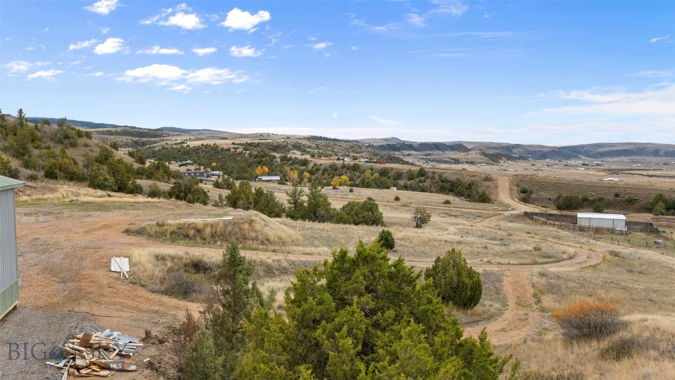 Ponderosa Pines - Land