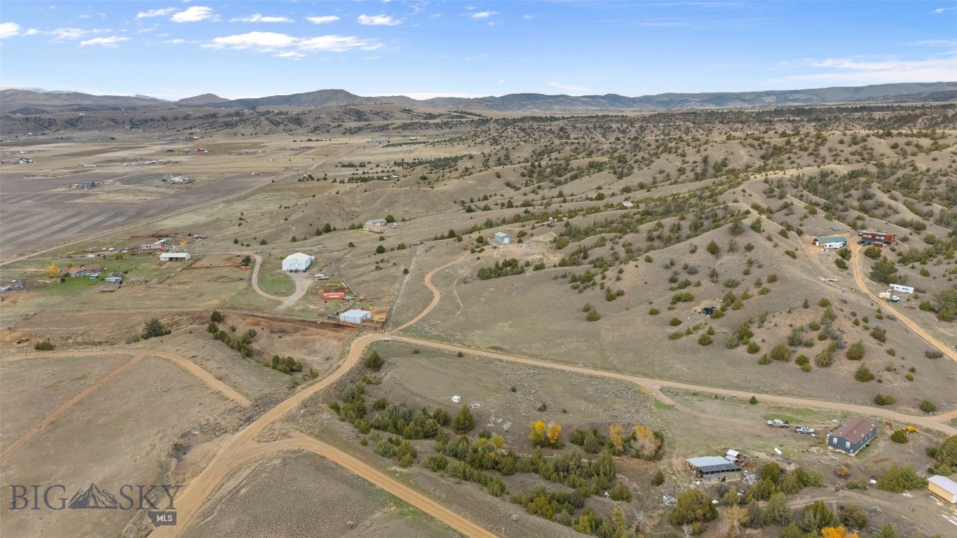 Ponderosa Pines - Land