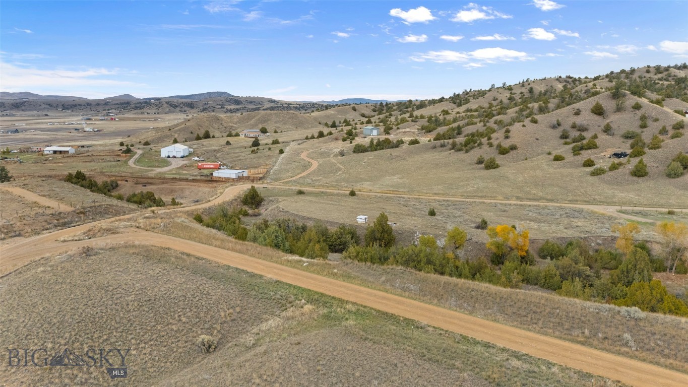 Ponderosa Pines - Land