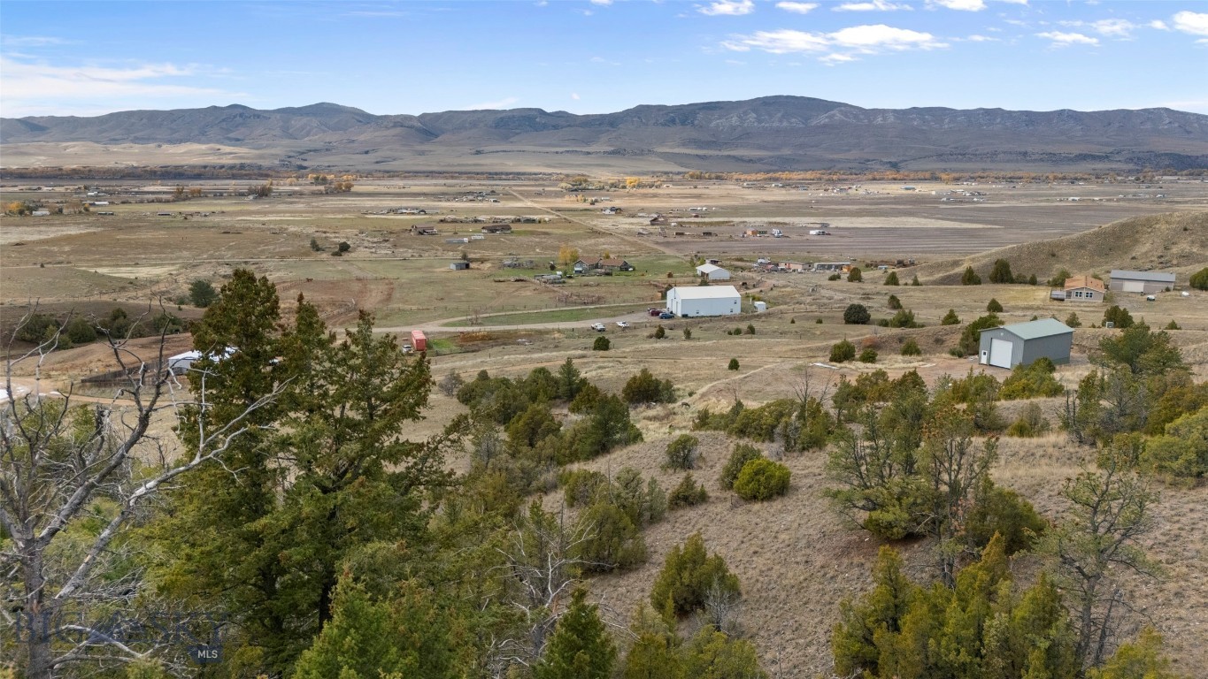 Ponderosa Pines - Land