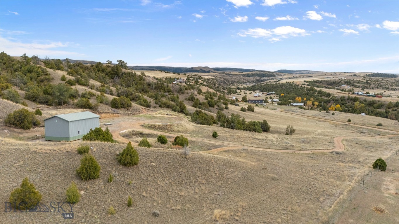 Ponderosa Pines - Land