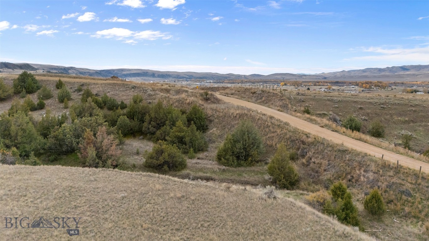 Ponderosa Pines - Land