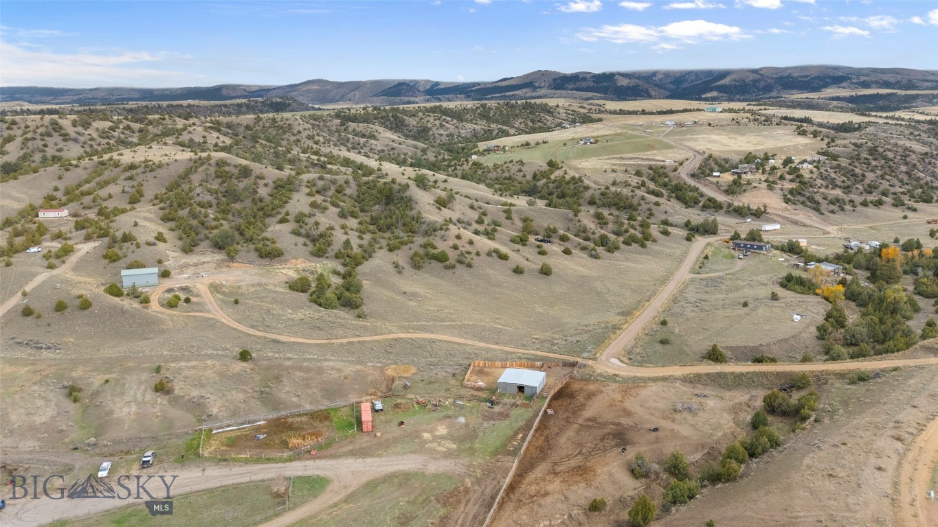 Ponderosa Pines - Land