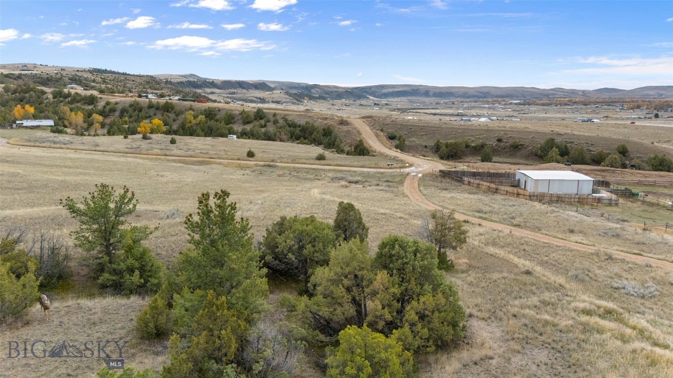 Ponderosa Pines - Land