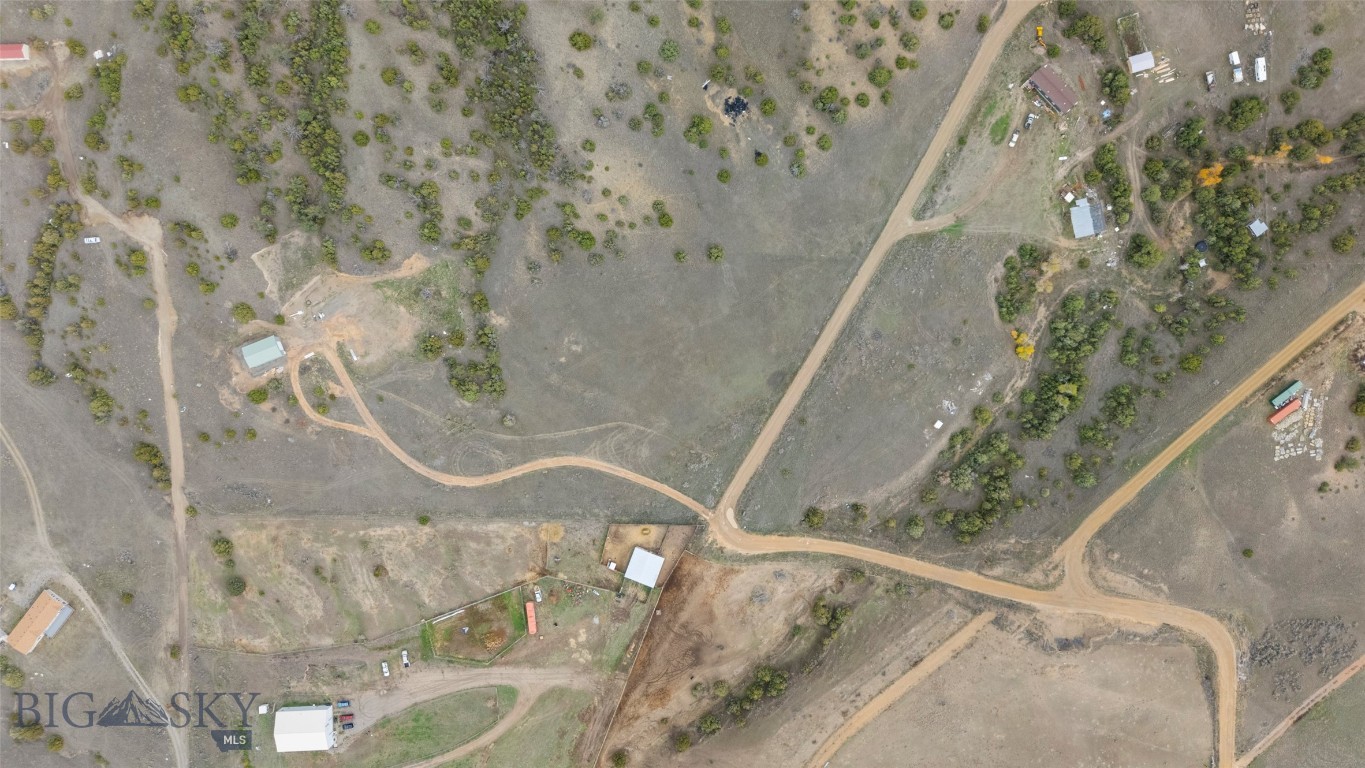 Ponderosa Pines - Land