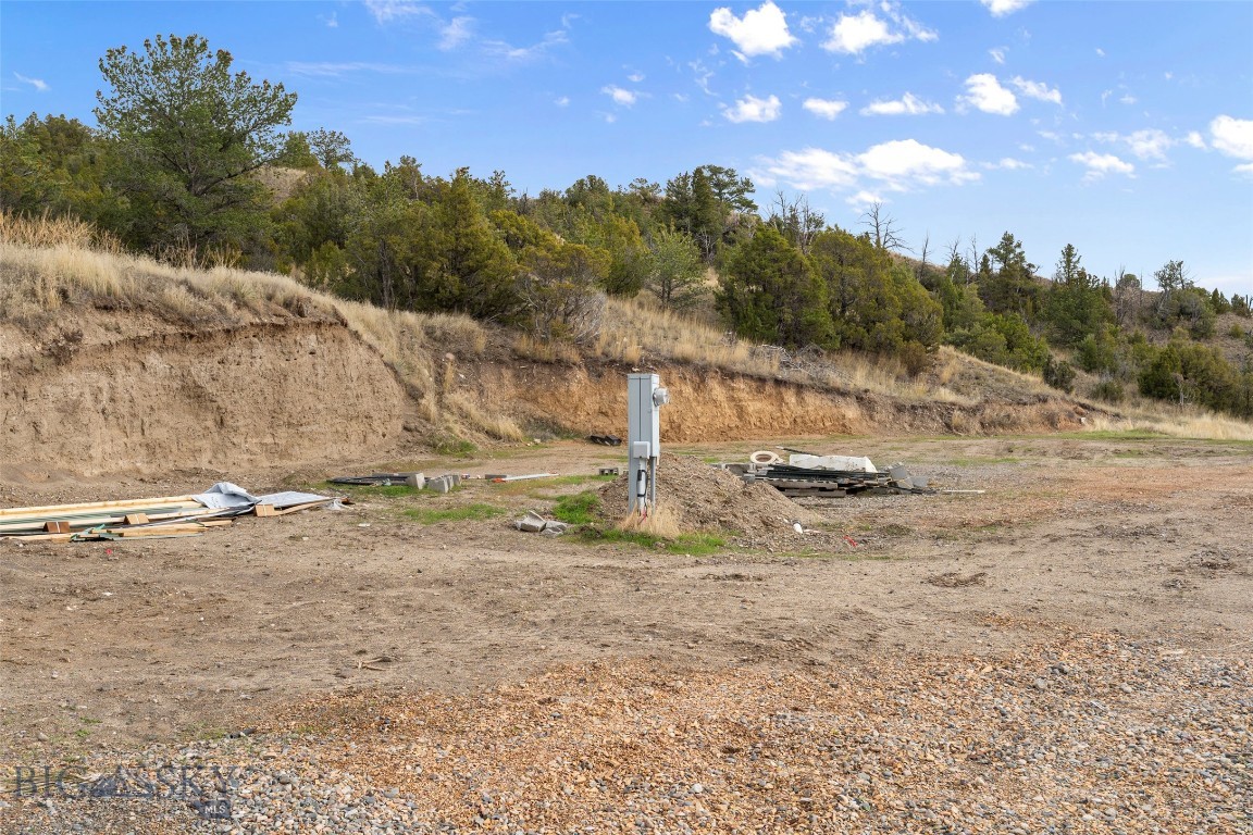 Ponderosa Pines - Land