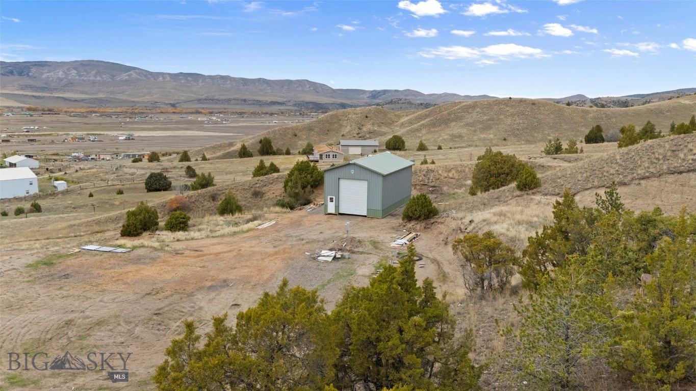 Ponderosa Pines - Land