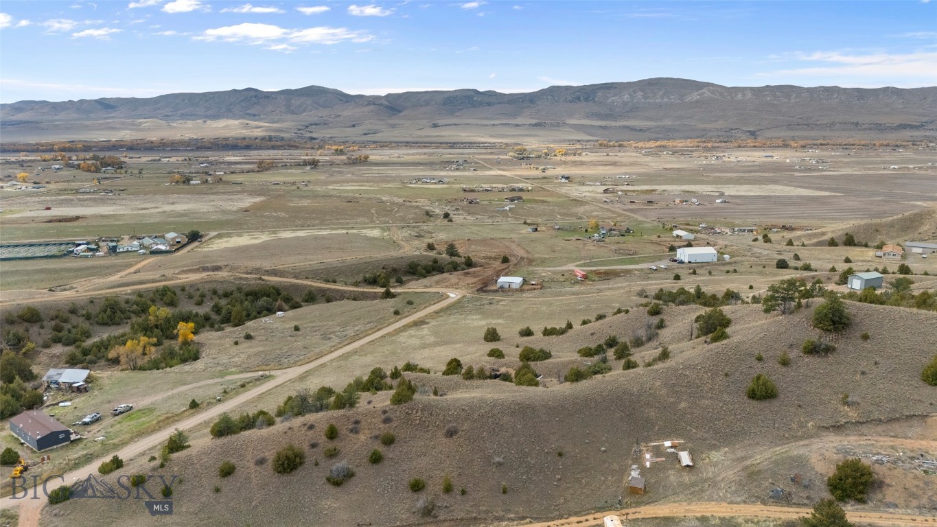 Ponderosa Pines - Land