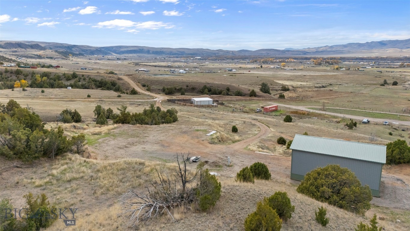 Ponderosa Pines - Land