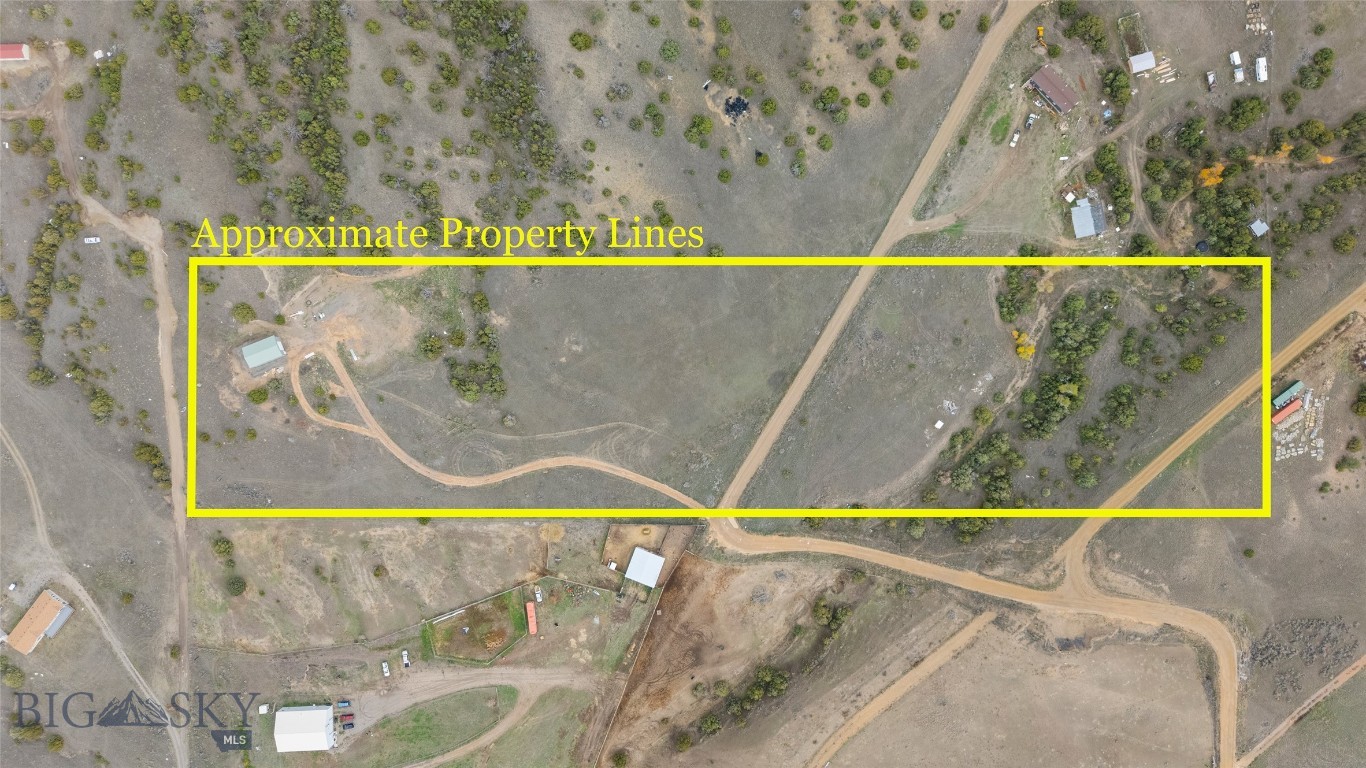 Ponderosa Pines - Land