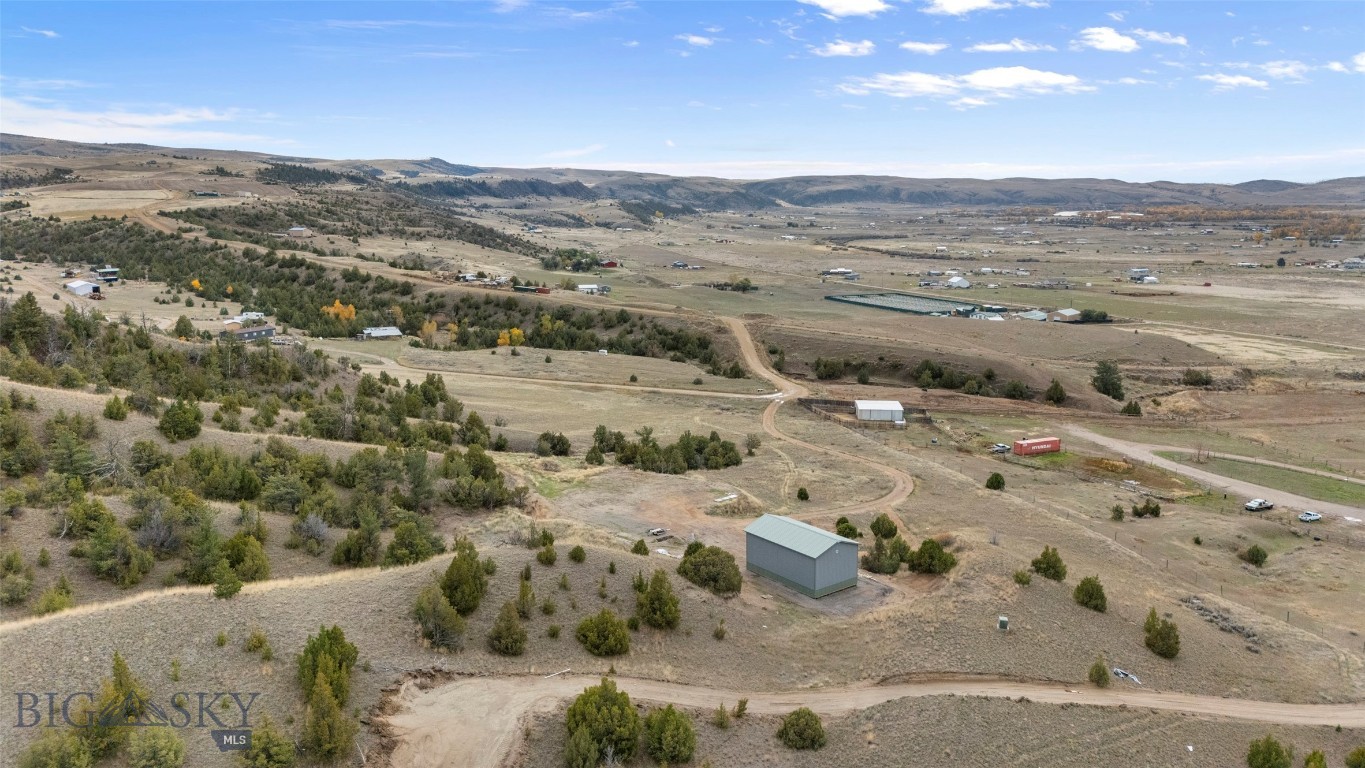 Ponderosa Pines - Land