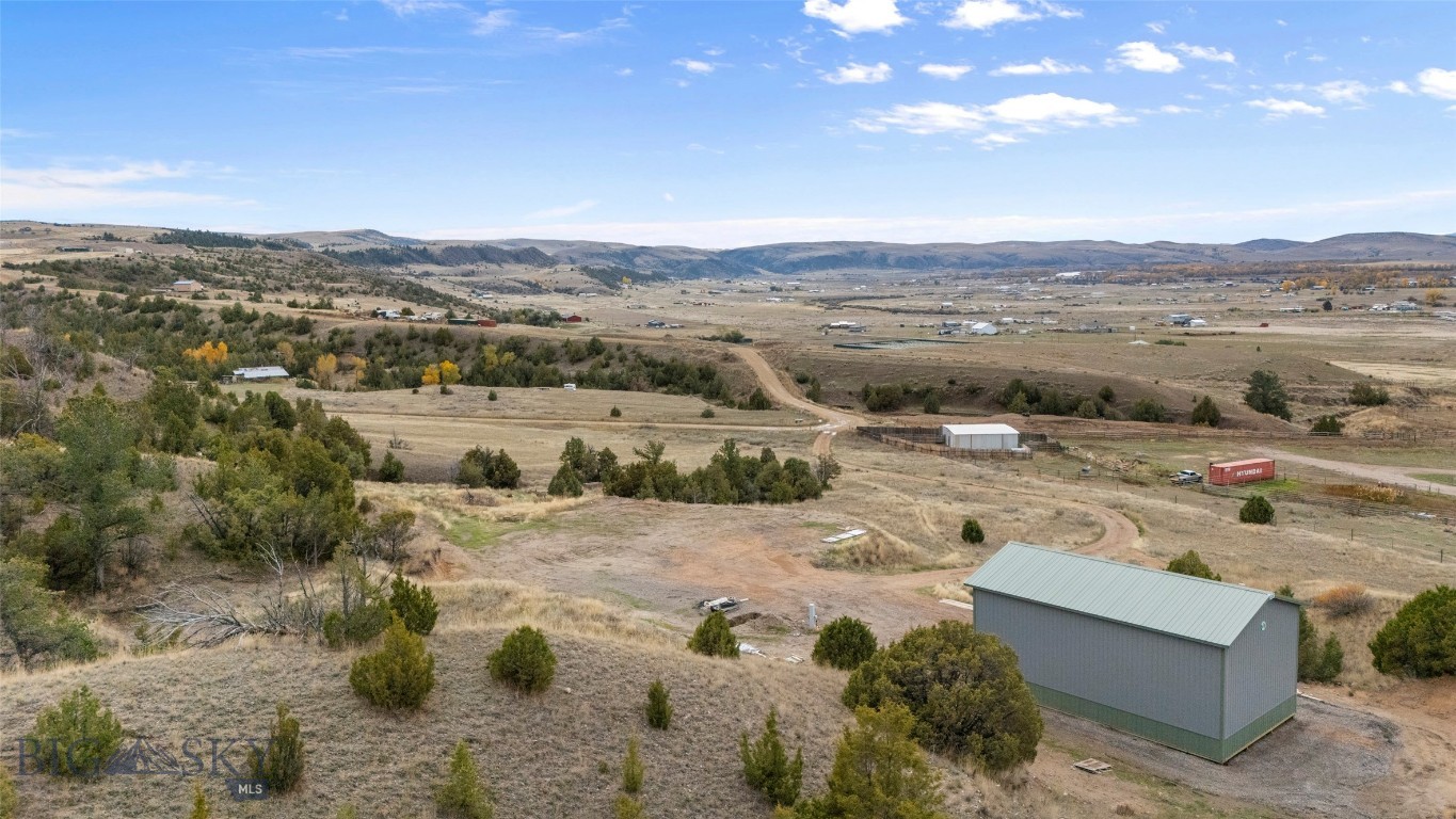 Ponderosa Pines - Land