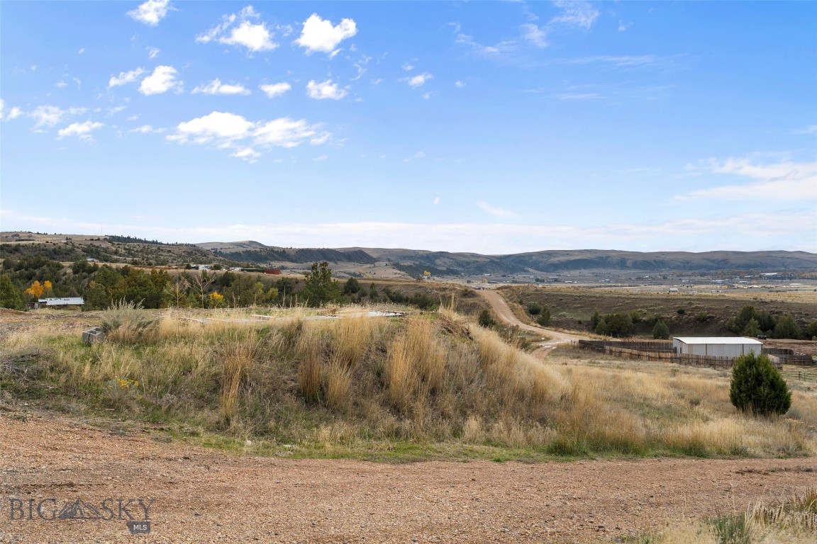 Ponderosa Pines - Land