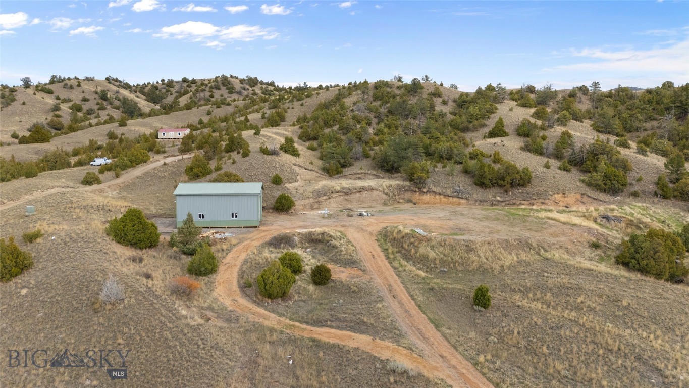 Ponderosa Pines - Land