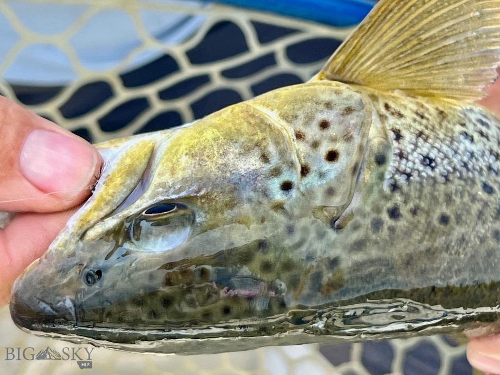 12500/12120 Axtell Gateway Road