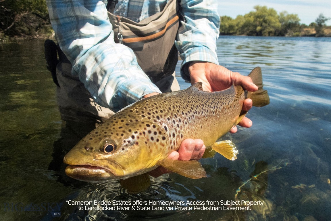 Cameron Bridge Estates - Land