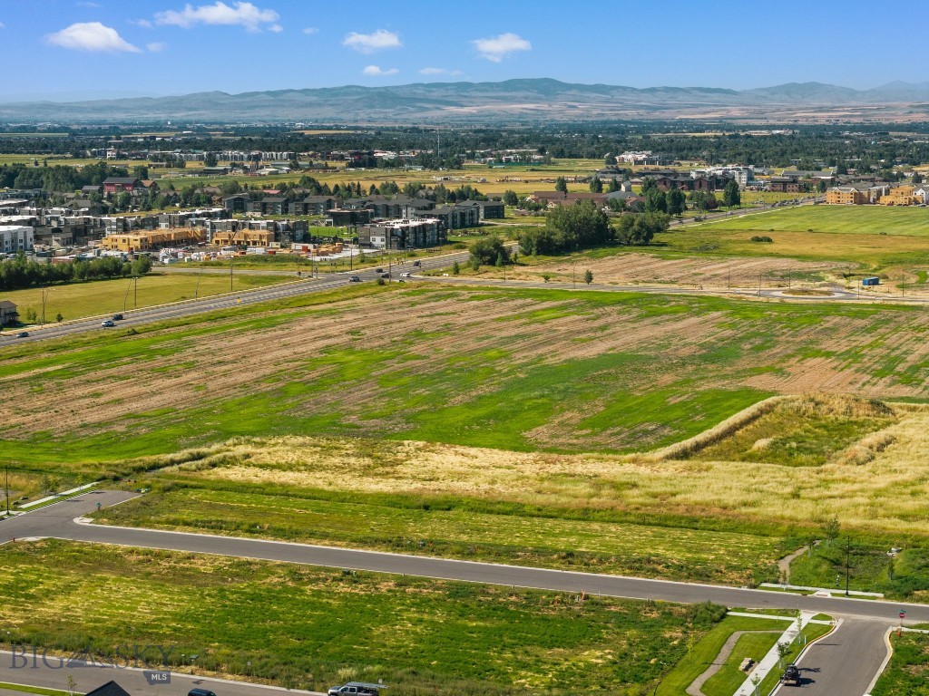 Blackwood Groves - Land