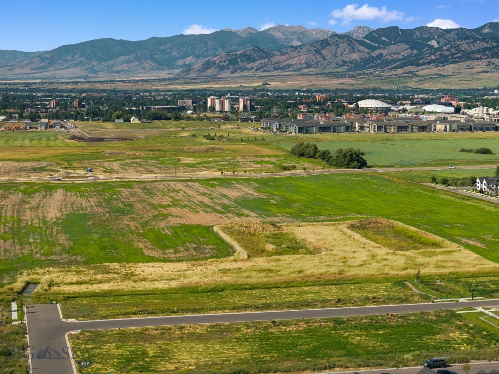 Blackwood Groves - Land