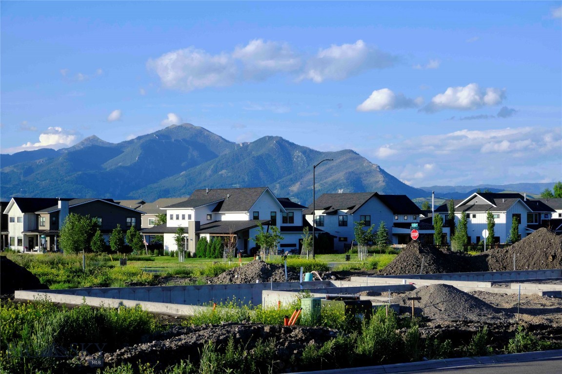 Blackwood Groves - Land