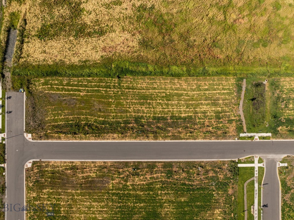 Blackwood Groves - Land