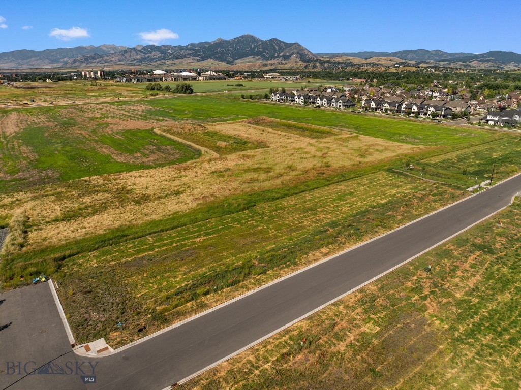 Blackwood Groves - Land