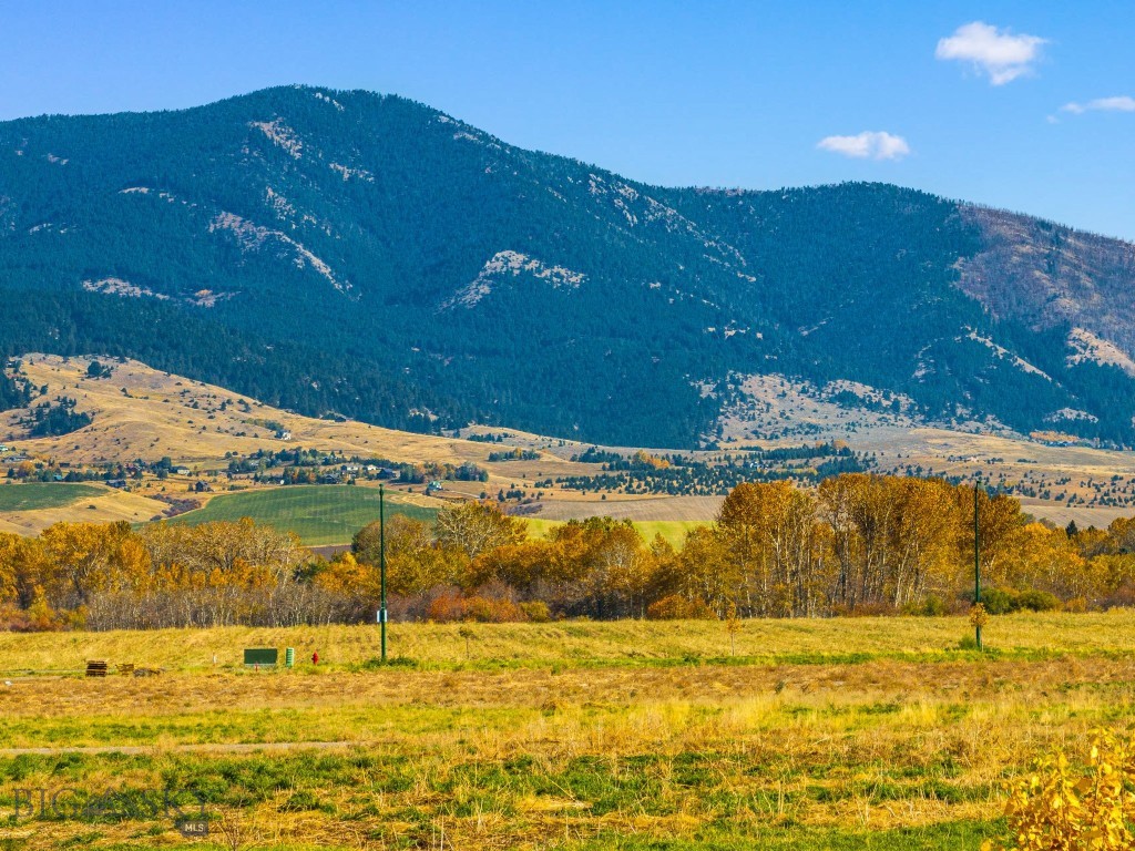Nelson Meadows - Land