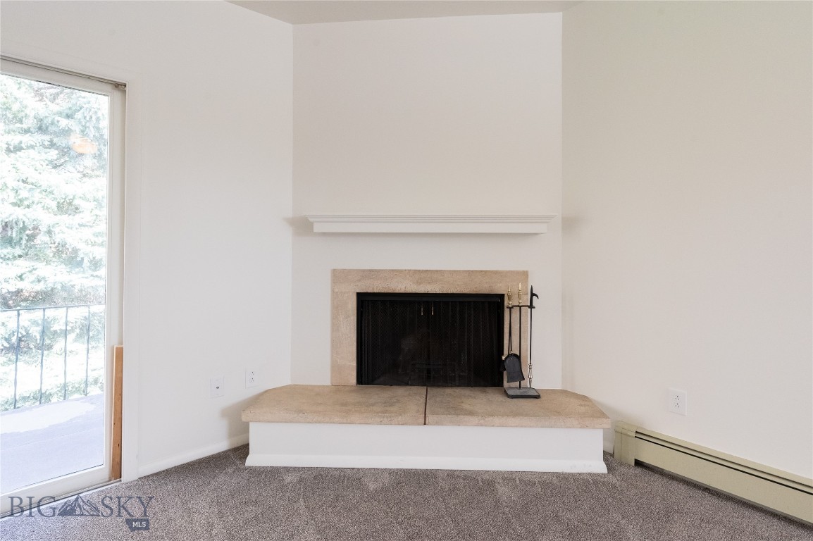 Bitterroot Condo - Residential