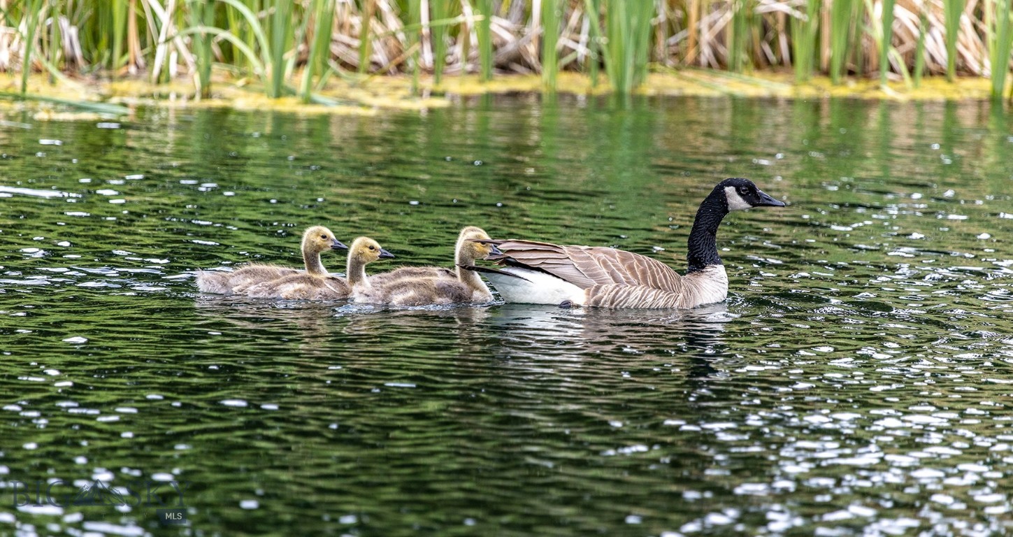 Minor Subdivision - Residential