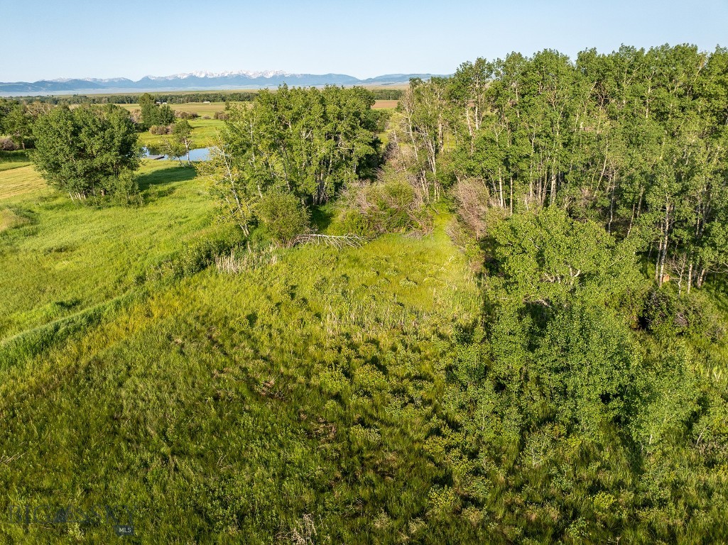 Minor Subdivision - Residential