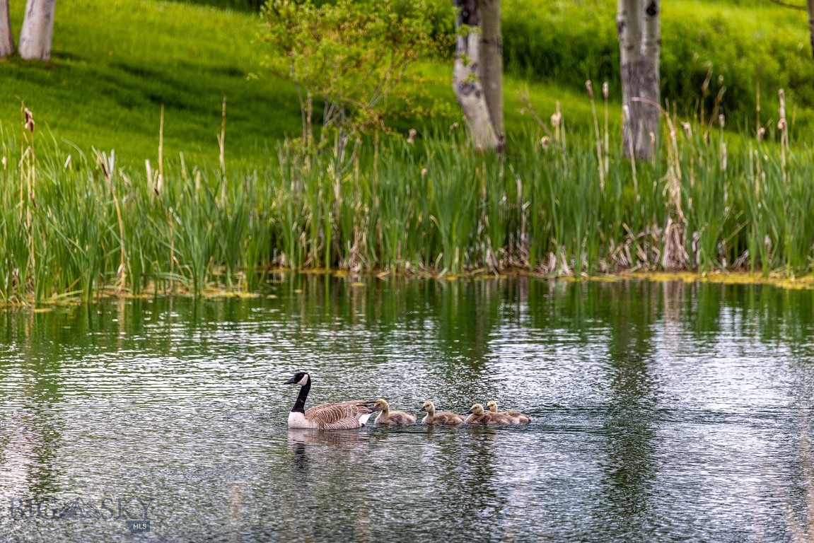 Minor Subdivision - Residential