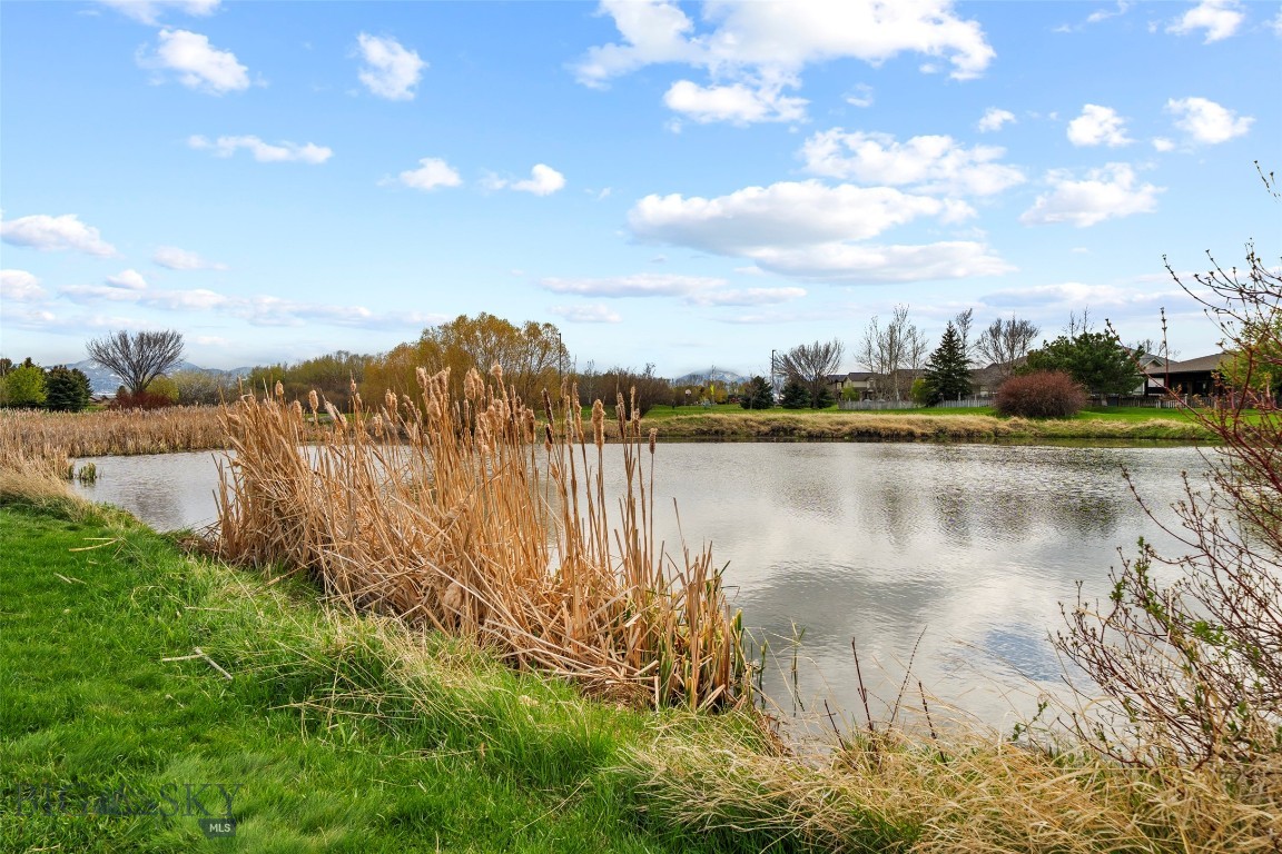 Cattail Creek - Residential