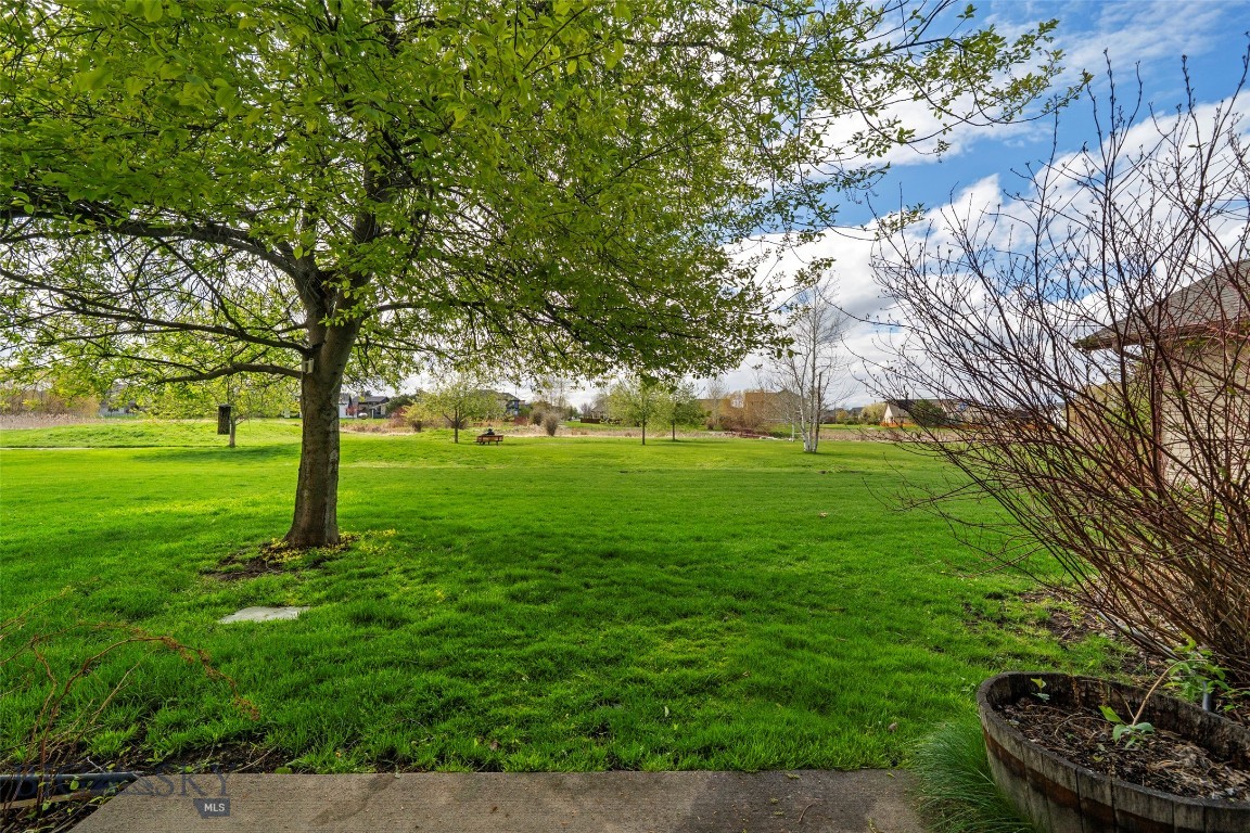 Cattail Creek - Residential