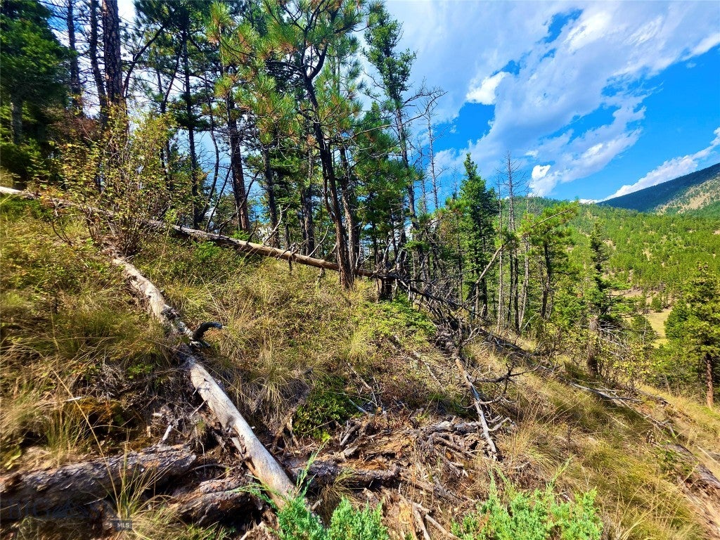 2855 Allen Gulch Road