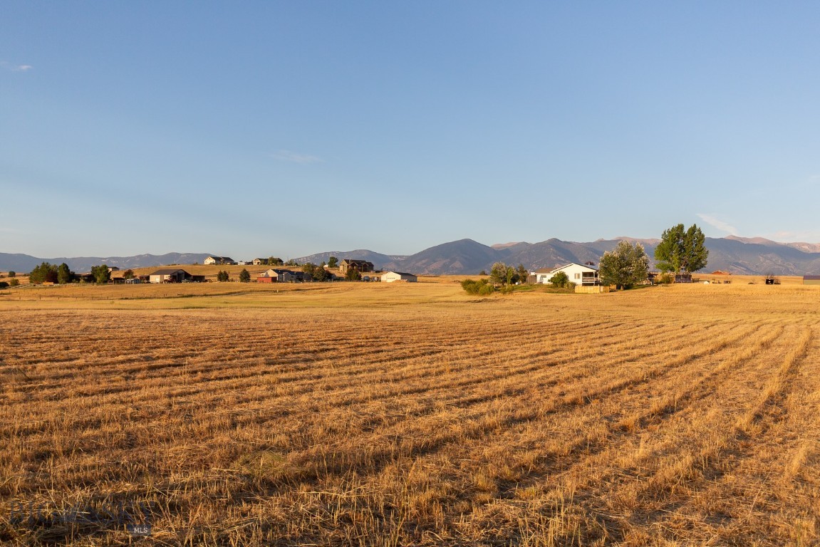 Minor Subdivision - Land