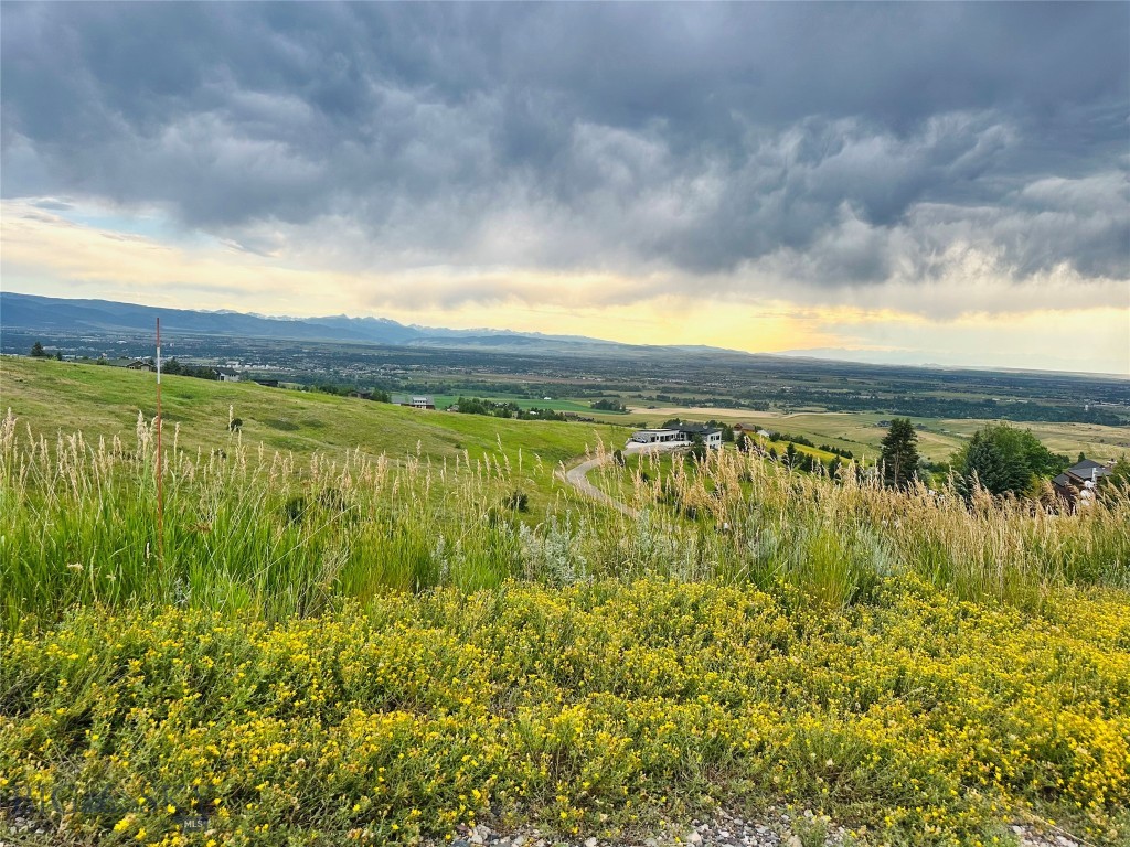 Grandview Heights - Land