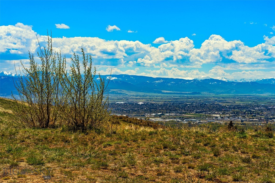 Grandview Heights - Land
